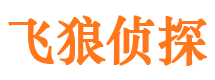 楚州市侦探调查公司